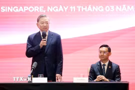 Tổng Bí thư Tô Lâm nói chuyện với cán bộ, nhân viên cơ quan đại diện và đại diện cộng đồng người Việt Nam tại Singapore. (Ảnh: Thống Nhất/TTXVN)