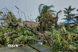 Philippines hứng chịu trung bình khoảng 20 cơn bão mỗi năm. (Nguồn: THX/TTXVN)