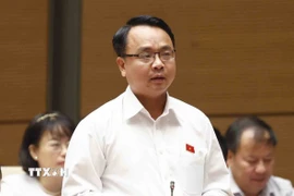 Ông Đặng Hồng Sỹ. (Nguồn: TTXVN)