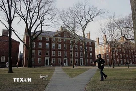 Khuôn viên Đại học Harvard tại Cambridge, Massachusetts, Mỹ. (Ảnh: Getty Images/TTXVN)