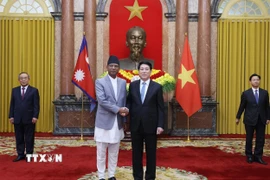 Chủ tịch nước Lương Cường với Đại sứ Cộng hòa Gabon tại Việt Nam Baudelaire Ndong Ella trình Quốc thư. (Ảnh: Lâm Khánh/TTXVN)