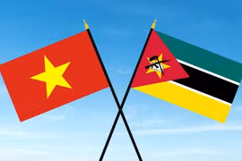 Quốc kỳ Việt Nam-Mozambique.