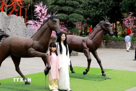 Chụp ảnh lưu niệm khi đi du Xuân. (Ảnh: Hoàng Hùng/TTXVN)