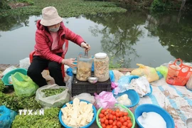 Chợ Đình Cả mỗi năm chỉ họp một phiên vào mùng 2 Tết. (Ảnh: Minh Quyết/TTXVN)