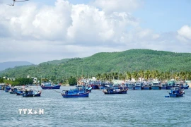 Ngư dân vươn khơi xuyên Tết tại cửa biển Tam Quan. (Ảnh: Sỹ Thắng/TTXVN)