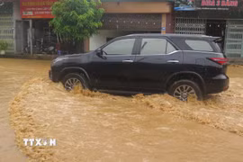 Ảnh minh họa. (Ảnh: Hương Thu/TTXVN)