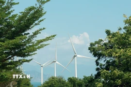 Phía Nam Tỉnh Khánh Hòa có nhiều thuận lợi để phát triển hệ thống điện gió. (Ảnh: Xuân Triệu/TTXVN)