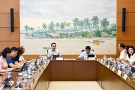 Chủ tịch Quốc hội Trần Thanh Mẫn, đại biểu Quốc hội tỉnh Hậu Giang phát biểu. (Ảnh: Doãn Tấn/TTXVN)