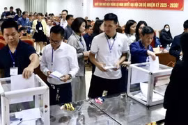 Với 361 hồ sơ đăng ký, huyện Mê Linh (Hà Nội) đã đấu giá thành công 15 thửa đất tại Điểm X1, thôn Đông Cao, xã Tráng Việt với giá trúng từ 71,6 đến 77,6 triệu đồng/m2. (Ảnh: Minh Nghĩa/TTXVN)