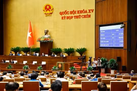 Quốc hội biểu quyết thông qua Luật sửa đổi, bổ sung một số điều của Luật Tổ chức Tòa án Nhân dân. (Ảnh: Doãn Tấn/TTXVN)