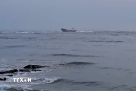 Tàu Thanh Thành Đạt 45 có trọng tải toàn phần 2.947 tấn đang bị mắc cạn tại cảng Cửa Việt, tỉnh Quảng Trị. (Ảnh: TTXVN phát)