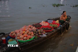 Nông sản được người dân chở ra chợ nổi bán vào rạng sáng. (Ảnh: Nguyễn Hằng/TTXVN)