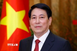 Chủ tịch nước Lương Cường. (Ảnh: Lâm Khánh/TTXVN)