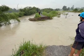 Khu vực Suối Giữa đoạn chảy qua các phường Tương Bình Hiệp, Chánh Mỹ và Hiệp Thành xảy ra tình trạng vỡ bờ bao, dòng nước tràn vào khu dân cư, gây thiệt hại về tài sản và hoa màu của hàng chục hộ dân. (Ảnh: Dương Chí Tưởng/TTXVN)