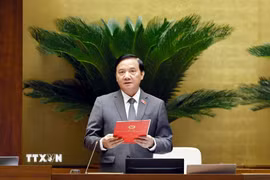 Phó Chủ tịch Quốc hội Nguyễn Khắc Định phát biểu. (Ảnh: Doãn Tấn/TTXVN)