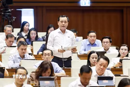 Đại biểu Quốc hội Thành phố Hồ Chí Minh Lê Văn Đông phát biểu. (Ảnh: Doãn Tấn/TTXVN)