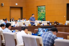 Thứ trưởng Bộ Công Thương Nguyễn Sinh Nhật Tân trình bày Tờ trình của Chính phủ về Dự án Luật Thương mại điện tử. (Nguồn: Cổng thông tin điện tử Quốc hội Việt Nam)