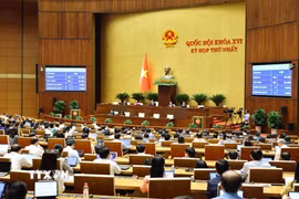 Các đại biểu biểu quyết thông qua Luật Tín ngưỡng, tôn giáo (sửa đổi). (Ảnh: Minh Đức/TTXVN)