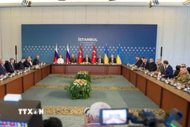 Toàn cảnh vòng đàm phán trực tiếp thứ hai giữa phái đoàn Nga và Ukraine tại Istanbul, Thổ Nhĩ Kỳ ngày 2/6/2025. (Ảnh: THX/TTXVN)