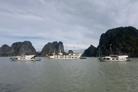 Một số tàu du lịch ở thành phố Hạ Long di chuyển về nơi tránh trú bão an toàn. (Ảnh: Văn Đức/TTXVN)