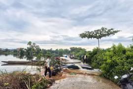 Hợp tác xã nông nghiệp Phú Hồ, xã Phú Hồ, huyện Phú Vang, thành phố Huế huy động nhân lực, máy bơm tiêu úng cứu lúa cho nông dân sau đợt mưa lớn do ảnh hưởng của bão số 1. (Ảnh: Tường Vi/TTXVN)