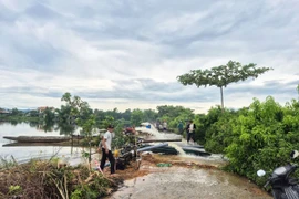 Hợp tác xã nông nghiệp Phú Hồ, xã Phú Hồ, huyện Phú Vang, thành phố Huế huy động nhân lực, máy bơm tiêu úng cứu lúa cho nông dân sau đợt mưa lớn do ảnh hưởng của bão số 1. (Ảnh: Tường Vi/TTXVN)