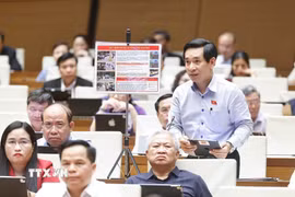 Đại biểu Quốc hội tỉnh Gia Lai Nguyễn Văn Cảnh phát biểu tại nghị trường. (Ảnh: Doãn Tấn/TTXVN)