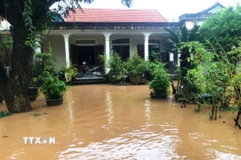 Nhiều căn nhà ở Quảng Trị bị ngập sâu. (Ảnh: Tường Vi/TTXVN)