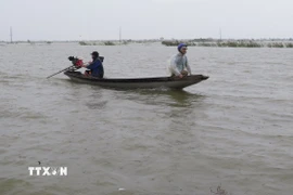 Việc đi lại giữa xã Quảng Điền và phường Kim Trà, thành phố Huế phải dùng thuyền, do lũ sông Bồ dâng cao gây ngập lụt ngày 17/11. (Ảnh: Nguyên Lý/TTXVN)