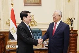 Chủ tịch nước Lương Cường với Chủ tịch Hạ viện Ai Cập Hanafy El-Gebaly tại trụ sở Hạ viện Ai Cập. (Ảnh: Lâm Khánh/TTXVN)