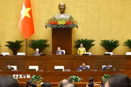 Phó Chủ tịch Quốc hội Nguyễn Thị Thanh phát biểu tại phiên họp Quốc hội thảo luận về dự án Luật Báo chí (sửa đổi) 24/11/2025. (Ảnh: Doãn Tấn/TTXVN)