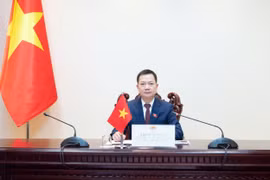Đại diện Việt Nam, đại biểu Quốc hội hoạt động chuyên trách tại Ủy ban Quốc phòng, An ninh và Đối ngoại của Quốc hội Trịnh Xuân An, Phó Chủ tịch Nhóm đại biểu Quốc hội trẻ Việt Nam khóa XV phát biểu tại Phiên họp. (Nguồn: Cổng thông tin điện tử Quốc hội Việt Nam)