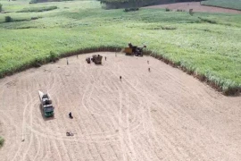 Những cánh đồng mía vùng Đông Trường Sơn được cơ giới hóa từ khâu trồng đến khâu thu hoạch. (Ảnh: TTXVN phát)