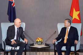 Tổng Bí thư, Chủ tịch nước Tô Lâm và ông Steven Joyce, Quyền Chủ tịch Hội Hữu nghị New Zealand-Việt Nam. (Ảnh: Thống Nhất/TTXVN)