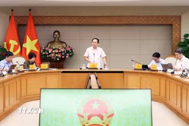Phó Thủ tướng Lê Tiến Châu phát biểu tại buổi làm việc. (Ảnh: An Đăng/TTXVN)