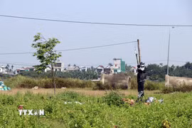 Khu tái định cư, đất đấu giá sau khi hoàn thành dự án bị bỏ hoang. (Ảnh: Cao Nguyên/TTXVN)