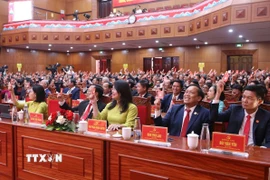 Đại hội biểu quyết thông qua Nghị quyết Đại hội. (Ảnh: Tuấn Anh/TTXVN)