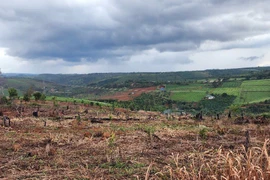 Khu vực xảy ra vụ việc. (Ảnh: TTXVN phát)