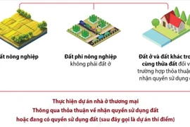 Bắt đầu thí điểm thực hiện dự án nhà ở thương mại thông qua thỏa thuận