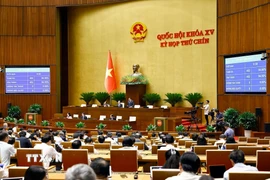 Tiến sỹ về quan hệ quốc tế tại Malaysia nhấn mạnh vị thế của Quốc hội Việt Nam. (Ảnh: Doãn Tấn/TTXVN)