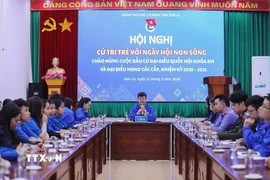 Quang cảnh hội nghị. (Ảnh: Trọng Đạt/TTXVN)