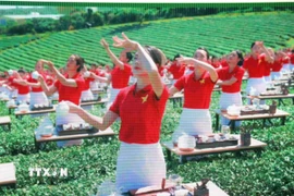 Tiết mục 1111 trà nương biểu diễn nghệ thuật trà đạo, 1 trong 4 kỷ lục Việt Nam thiết lập tại Lễ hội trà quốc tế. (Ảnh: Chu Quốc Hùng/TTXVN)