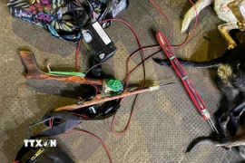 Súng điện tự chế của các đối tượng để bắn chó. (Ảnh: TTXVN phát)