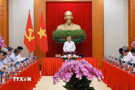 Tổng Bí thư, Chủ tịch nước Tô Lâm, Trưởng Ban Chỉ đạo Trung ương về tổng kết thực tiễn và nghiên cứu sửa đổi, bổ sung Điều lệ Đảng, phát biểu chỉ đạo. (Ảnh: Thống Nhất/TTXVN)