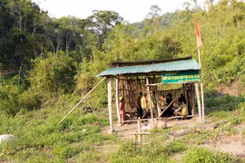 Ban Quản lý rừng phòng hộ Sêrêpốk lập chốt canh rừng tại vị trí từng xảy ra phá rừng thuộc tiểu khu 208-209. (Ảnh: Chu Quốc Hùng/TTXVN)