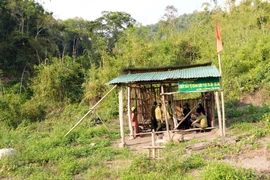 Ban Quản lý rừng phòng hộ Sêrêpốk lập chốt canh rừng tại vị trí từng xảy ra phá rừng thuộc tiểu khu 208-209. (Ảnh: Chu Quốc Hùng/TTXVN)