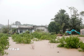 Xã Hàm Liêm ngập diện rộng do mưa lớn sáng 4/12. (Ảnh: Hồng Hiếu/TTXVN)