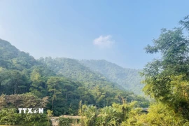 Hệ sinh thái rừng-hồ-núi đặc biệt phong phú là điểm mạnh lớn nhất của du lịch xã Kim Anh. (Ảnh: Tuyết Mai/TTXVN)