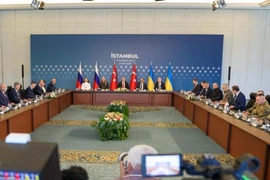 Toàn cảnh vòng đàm phán trực tiếp thứ hai giữa phái đoàn Nga và Ukraine tại Istanbul, Thổ Nhĩ Kỳ ngày 2/6/2025. (Ảnh: THX/TTXVN)