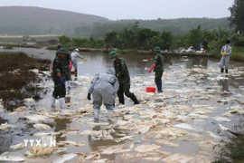 Váng dầu tràn ra ruộng sản xuất lúa của người dân xã Vạn Tường. (Ảnh: Phạm Cường/TTXVN)